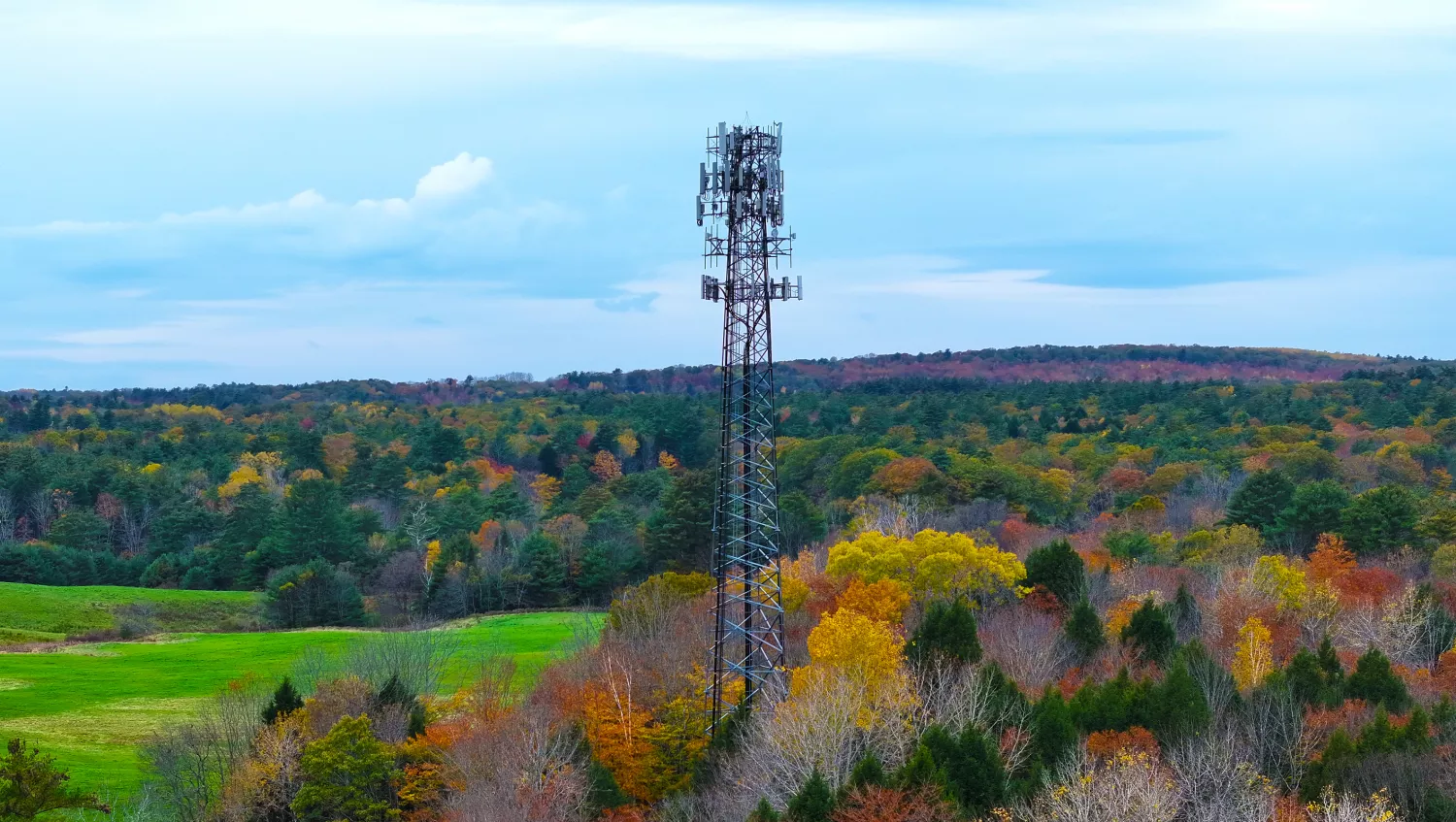 Cell Tower Surrounded by Trees with Fall Leaves